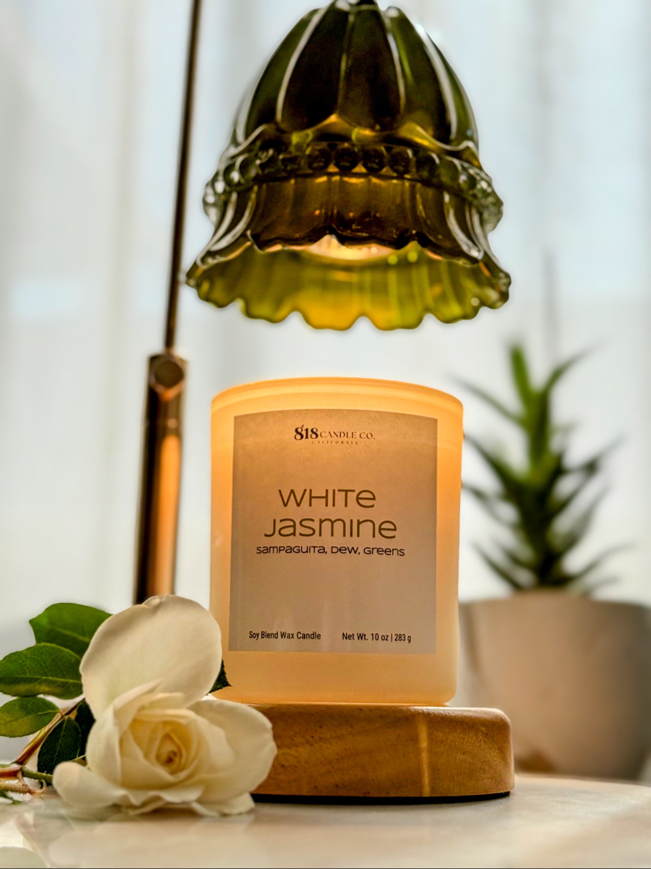 White Jasmine
